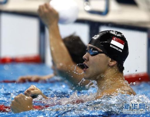 2016年新加坡100米游泳冠军？2016年新加坡经济如何