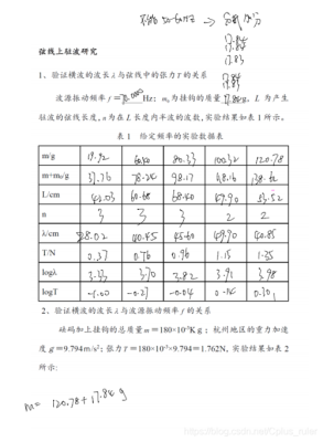弦上驻波实验步骤？杠杆如何调平