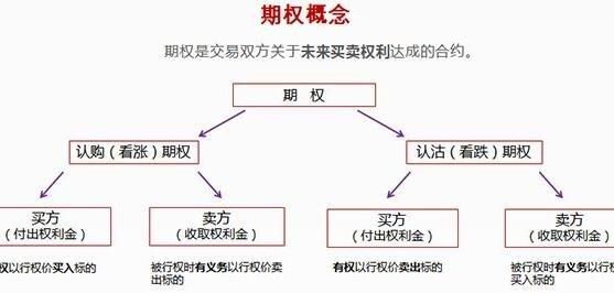 期权股是怎样分红和变现？期权如何盈利