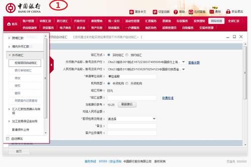 中国银行企业网银外币结汇查询？公司如何查看外币信息