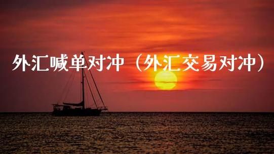 外汇货币对冲是什么意思，怎么做对冲交易的？如何对冲外汇投资风险