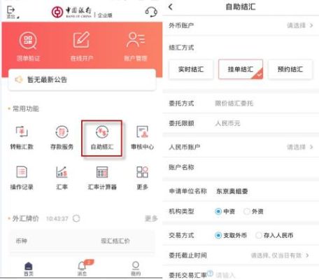 中国银行企业网银外币结汇查询？中国银行如何查看外汇