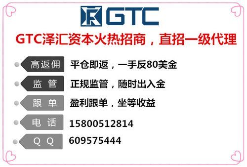 外汇平台的真假，怎么辨别？nfa如何正确查询