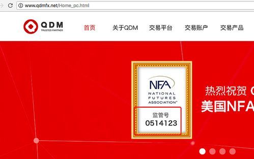 外汇平台的真假，怎么辨别？nfa如何正确查询