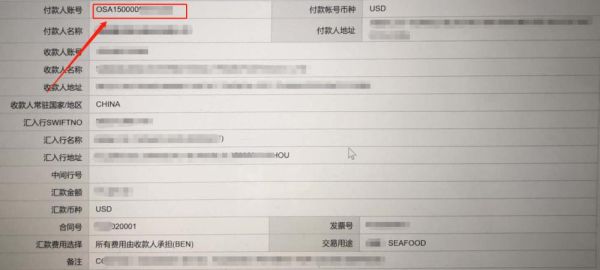怎么把外汇转到内地个人账户？已经有外汇 如何转外汇