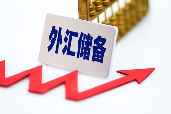 不出国需要储备外汇吗？个人外汇如何避免美元贬值