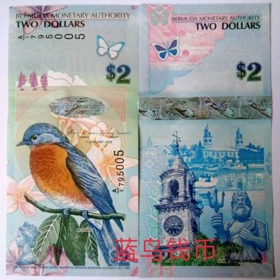 100斐济币兑换多少人民币？斐济币如何兑换