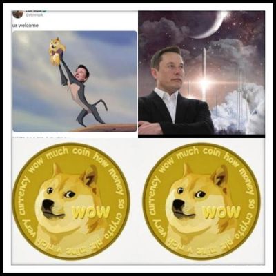狗狗币属于哪个公链？狗狗币如何交易