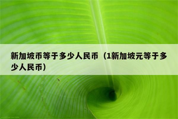 我去银行换新加坡币。手续费怎么算呢？新加坡元和人民币如何兑换