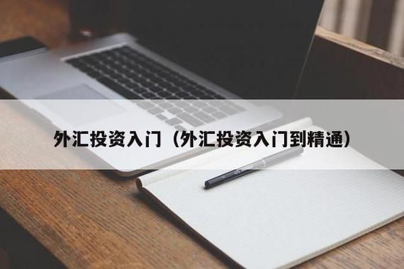 怎样才能外汇赚大钱呢？新手如何炒外汇