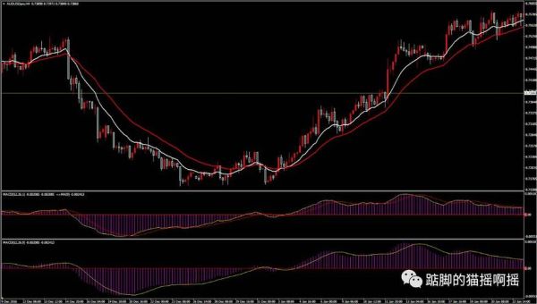 手机mt4怎么调双线macd？mt4 macd公式如何改为大智慧指标