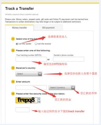 跨国汇款,国内到账,国外可以查询到的？如何查询国外汇款
