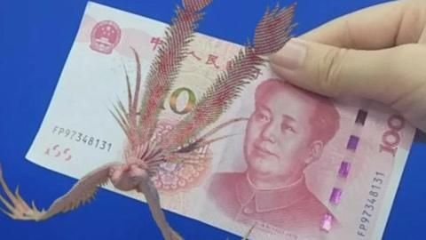 人民币怎么扫出凤凰？人民币如何走出去