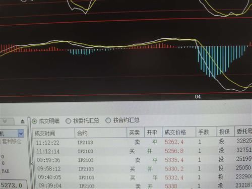 股指期货求教，如果股指期货自己手里全部是空单，现在空单挂跌停没人买？如何挂空单