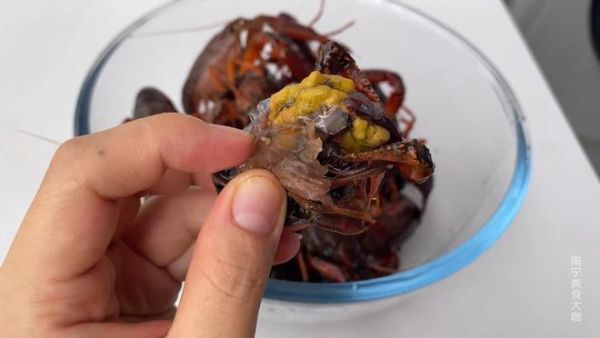 我从龙虾的头里面取出两颗石头是什么东西？剥头皮风险收益如何