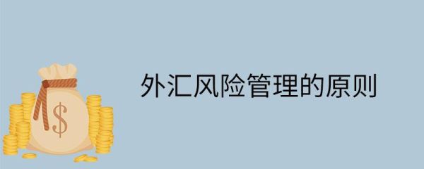 为避免外汇风险，可以采用什么方法避险保值？外汇如何保值