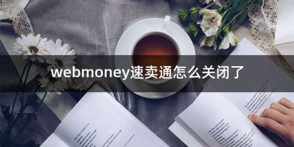 webmoney速卖通怎么关闭了？webmoney 如何使用