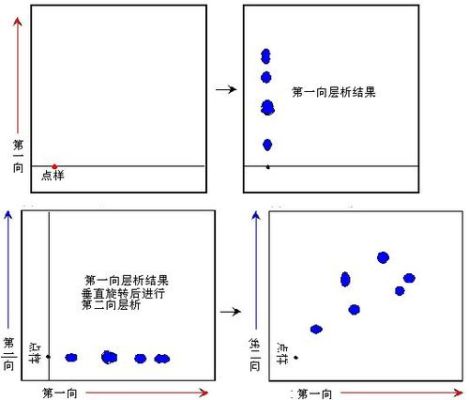双向色谱法操作步骤？如何双向操作