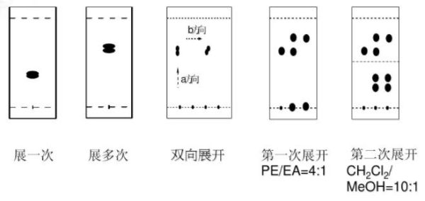 双向色谱法操作步骤？如何双向操作