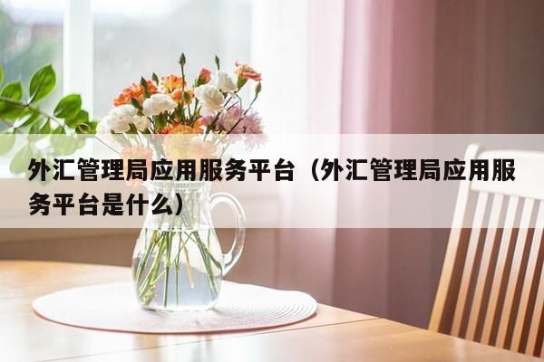 有谁知道在国家外汇管理局应用服务平台上申报错了该怎么办?对企业有什么影响吗？外汇做错方向如何处理