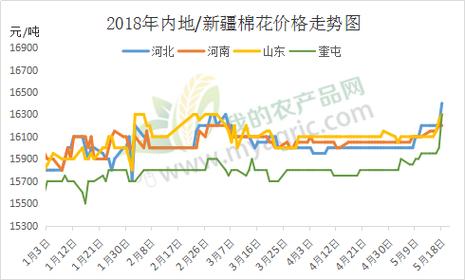 棉花近几个月的期货行情怎么样？棉花近几个月？期货棉花