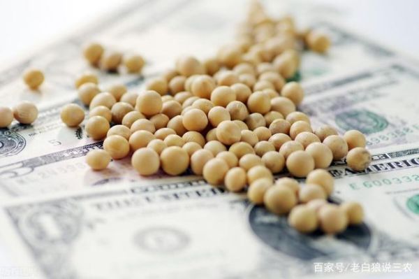 期货中的，大豆1大豆2是，什么意思？期货大豆