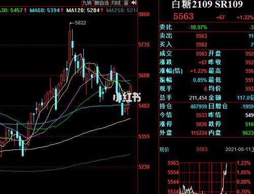 期货代码白糖305是什么意思？期货 白糖