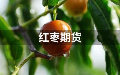 红枣期货有夜盘吗？红枣期货