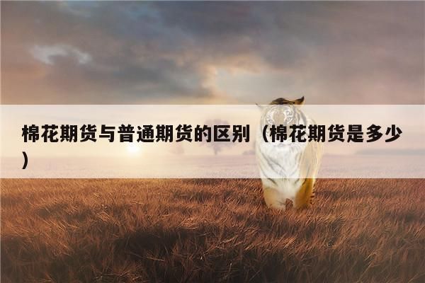什么样的商品才能成为期货商品？期货标的