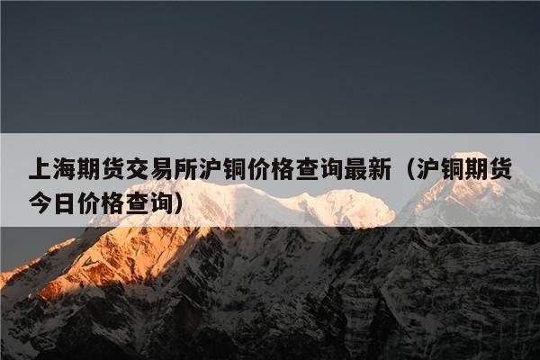 铜的期货怎么炒需要多钱？沪铜期货