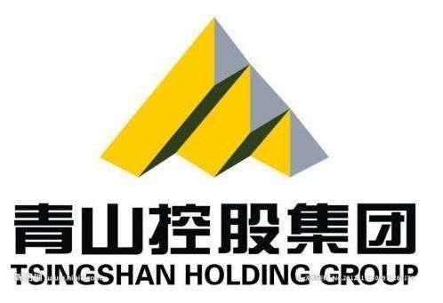 青山控股集团有限公司介绍？温州期货