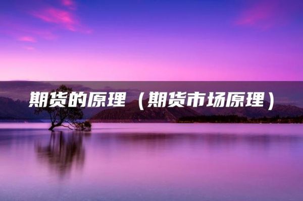 期货市场原理？期货市场是什么