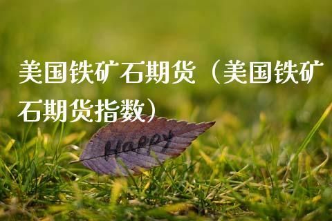 铁矿石100美元相当于期货多少钱？铁矿石期货价