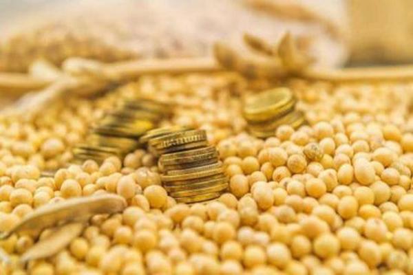 做黄豆期货一手需要多少保证金？豆类期货