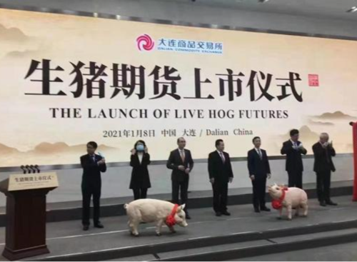 猪肉期货什么情况下强制平仓？猪肉期货走势