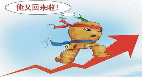生姜交割是啥意思？生姜期货