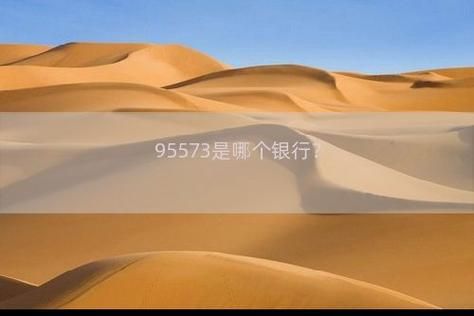 95573是哪个银行？期货客服