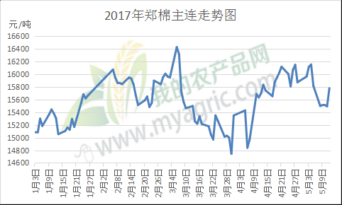 棉花收购价多少钱？郑棉期货行情
