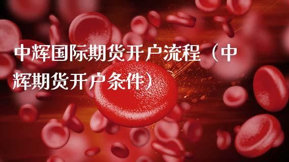 中辉国际期货开户条件流程？中辉国际期货
