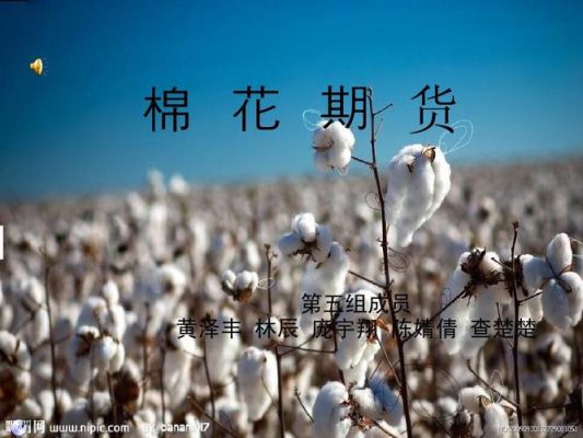 新疆棉花开称能影响期货行情吗？棉花期货最新消息