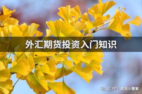 个人账户可以在期货买外汇吗？期货投资外汇