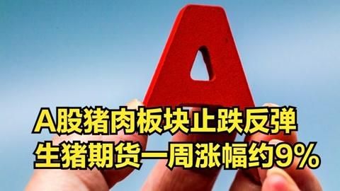生猪肉期货怎么炒？美国生猪期货