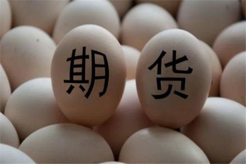 鸡蛋期货是大品种吗？期货鸡蛋行情