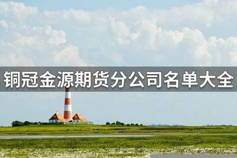 上海有哪几家期货公司？铜冠金源期货