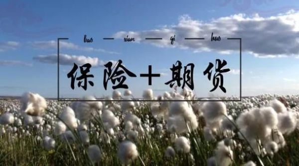到底什么是“保险+期货”？保险与期货