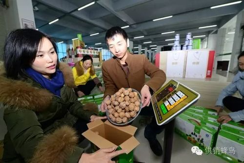 农村电商的发展有模式怎么样？核桃期货