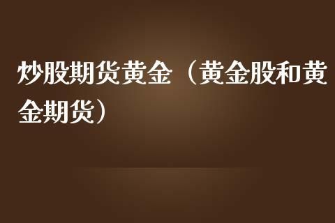 炒股期货是什么意思呢？炒股什么是期货