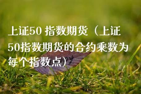 欧线集运期货是什么？期货乘数