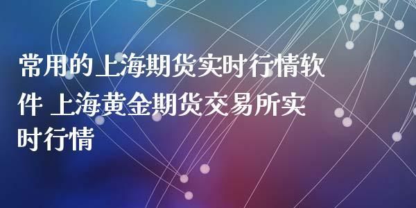 上海期货交易所是什么性质的单位？期货的性质