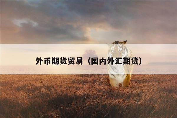 外汇期货是什么呢？做外汇期货